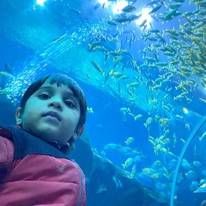 Meet your Posher, Mohammed